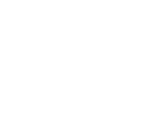 Logo DSG